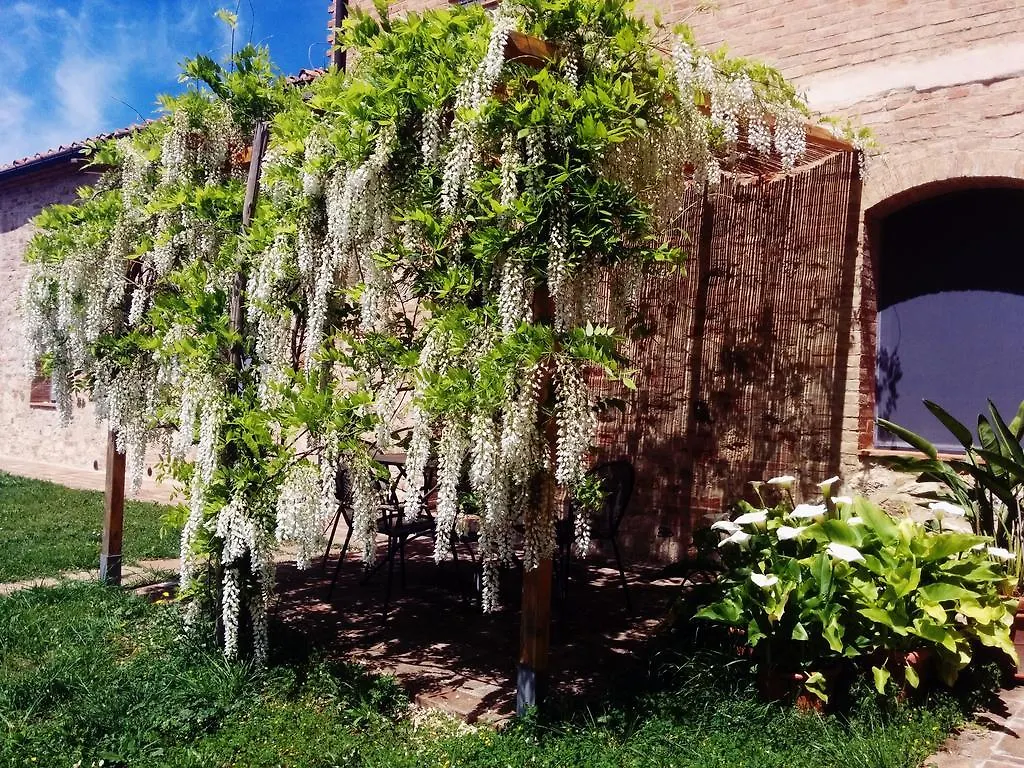 La Fornace Di San Galgano Vila Chiusdino