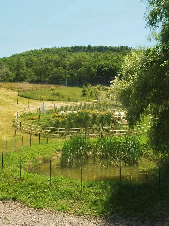 La Fornace Di San Galgano Villa Chiusdino Italy